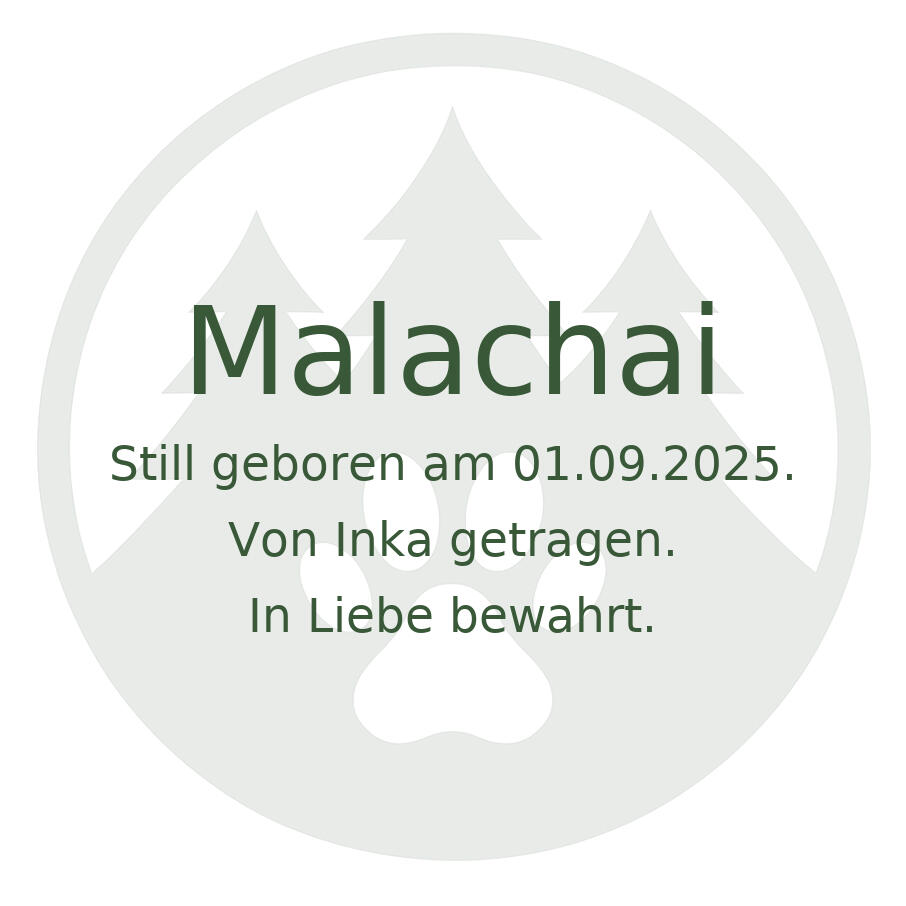 Malachai - Still geboren am 1. September 2025. Von Inka getragen. In Liebe bewahrt.