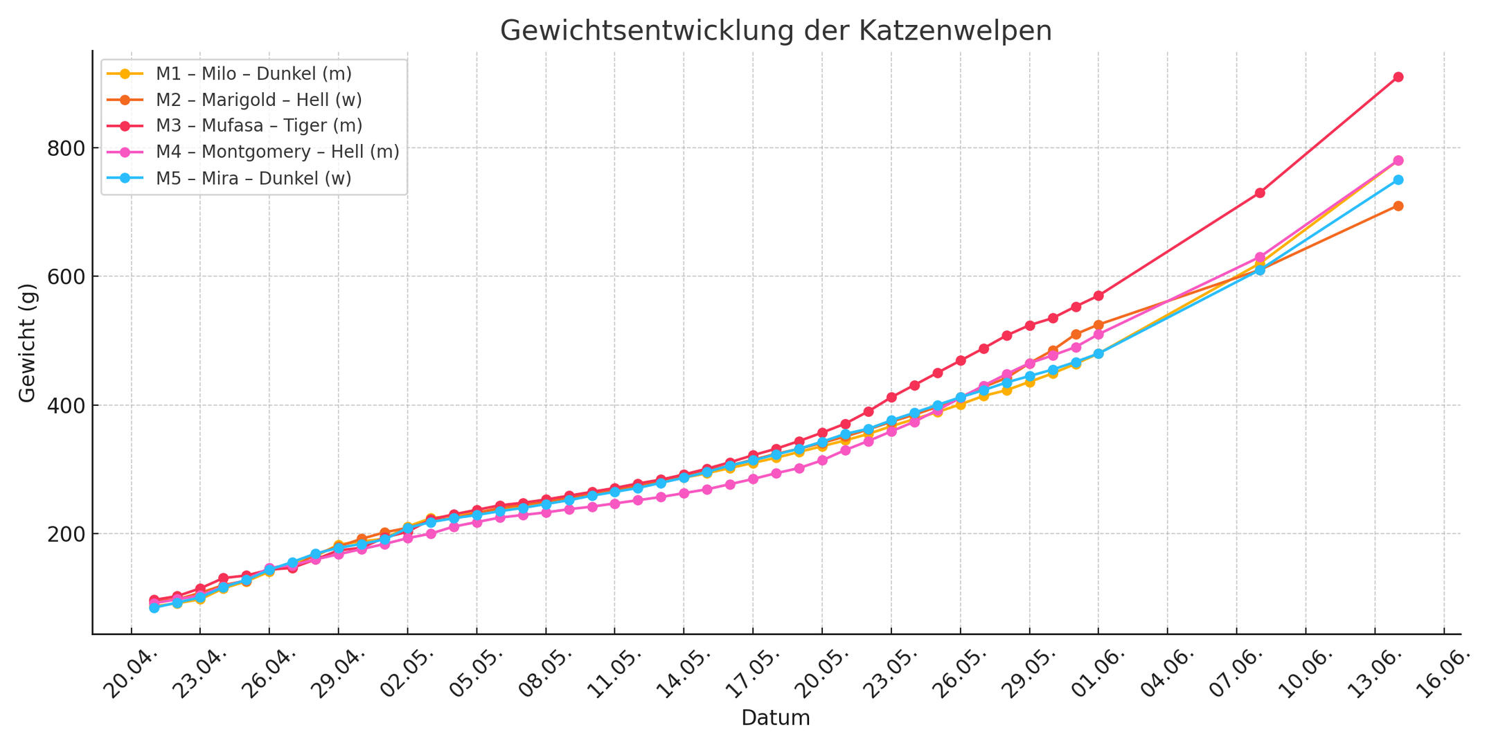 Gewichtsentwicklung der Katzenwelpen Gewichtsentwicklung der Katzenwelpen